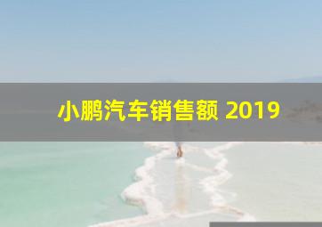 小鹏汽车销售额 2019